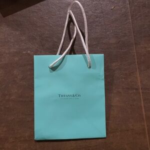 Tiffany & Co. Aqua Blue Shopping Bag